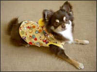 �����Y����