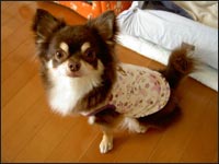 �����Y����