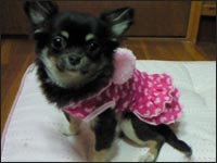 �邫�������