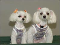 RIKA�����MOCA�����