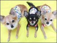 �~���E���񁕂���������񁕃|�|����