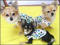 �~���E���񁕂���������񁕃|�|����