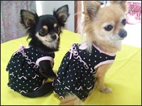 ����������񁕃|�|����