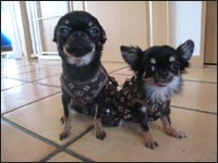 �v�b�`����񁕃��B���B�����