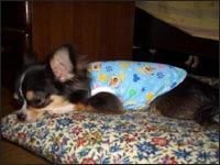 ���C�J����