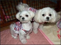 RIKA�����RIKU����