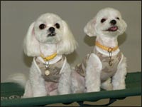 RIKU����KAI����