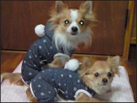 �������񁕂�񂿂��