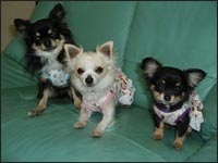 �������񁕂͂Ȃ���񁕃}���������