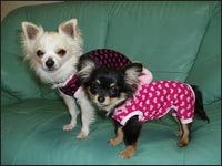 �͂Ȃ���񁕃}���������