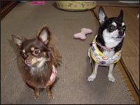 ��������񁕂����������