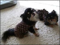 �^���^�����񁕉ԉ������