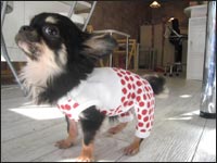 ���B���B�����