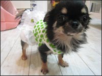 ���B���B�����