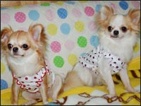 ������񁕐������