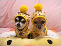 non�����hana�����