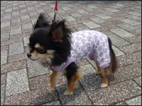 �Ђ�肿���