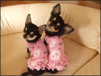 ����������񁕃o�j�������