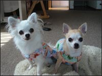 ���N���񁕋юl�N����