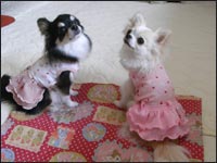 ���邿��񁕓�t�����