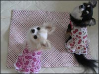 ���邿��񁕓�t�����