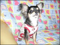 �Ց��Y����