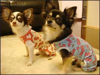 �N���}�����񁕃N�N������