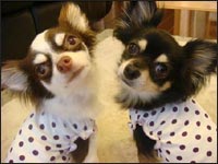 �N�N�����񁕃N���}������