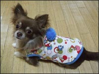 �}��������