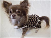 �}��������