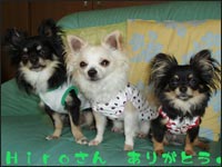 �������񁕂͂Ȃ���񁕃}���������