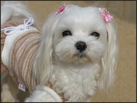 ���O������