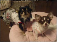 ��������񁕂݂邭�����