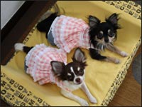 ��������񁕂݂邭�����