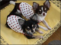 ��������񁕂݂邭�����