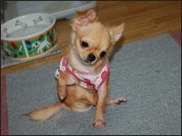 �Ȃ������