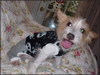 �m�G������