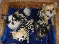 ���I���񁕃e�����񁕃}�����񁕃T������