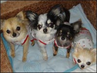 ���I���񁕃e�����񁕃}�����񁕃T������