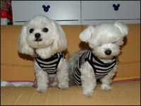 RIKU����KAI����