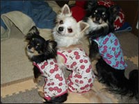 �}��������񁕂͂Ȃ���񁕃�������