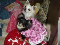 �}��������񁕂͂Ȃ����