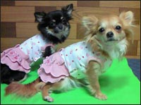 �邫������񁕂�񂿂��