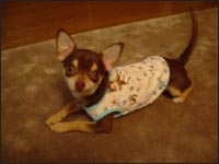 ���n����