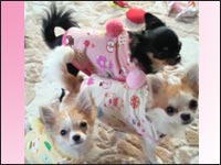 ���񂿂�񁕂�������񁕂��Ȃ������