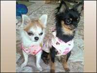 ��������񁕂��񂿂��