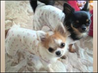 ��������񁕂��񂿂��