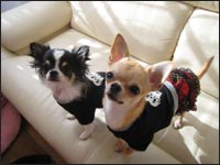 CoCo�����KiKi�����