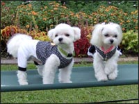 KAI����RIKA�����