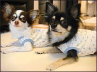 �N�N�����񁕃N���}������